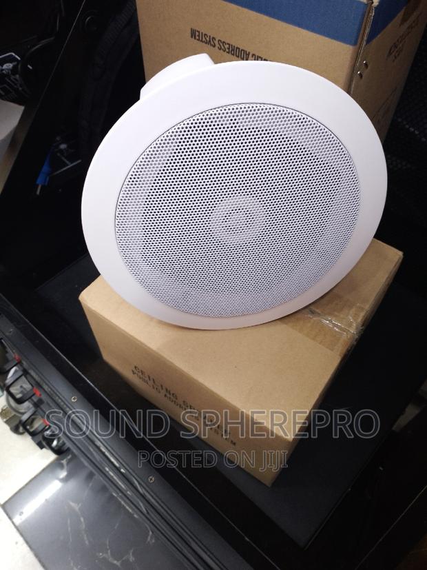 Bluetooth Ceiling Speaker