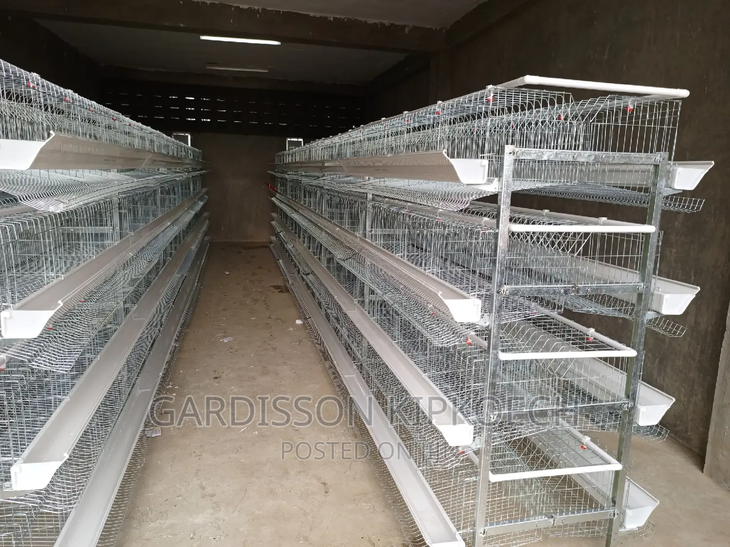 Chicken Cages(H Type Cages)
