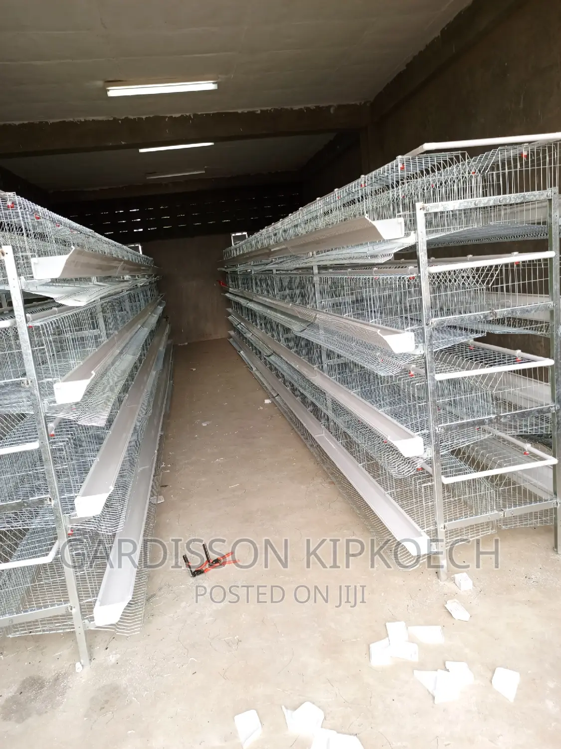 Chicken Cages(H Type Cages)