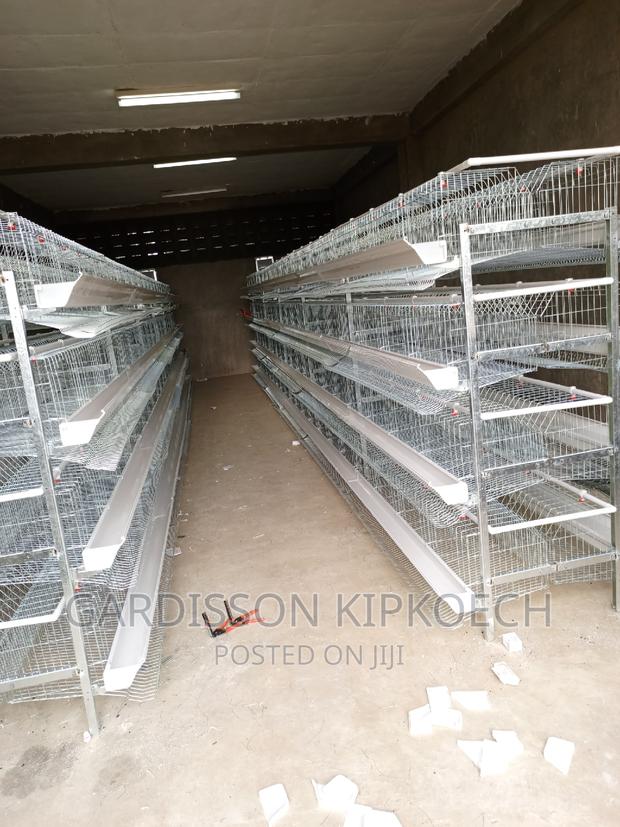 Chicken Cages(H Type Cages) - thumbnail 12