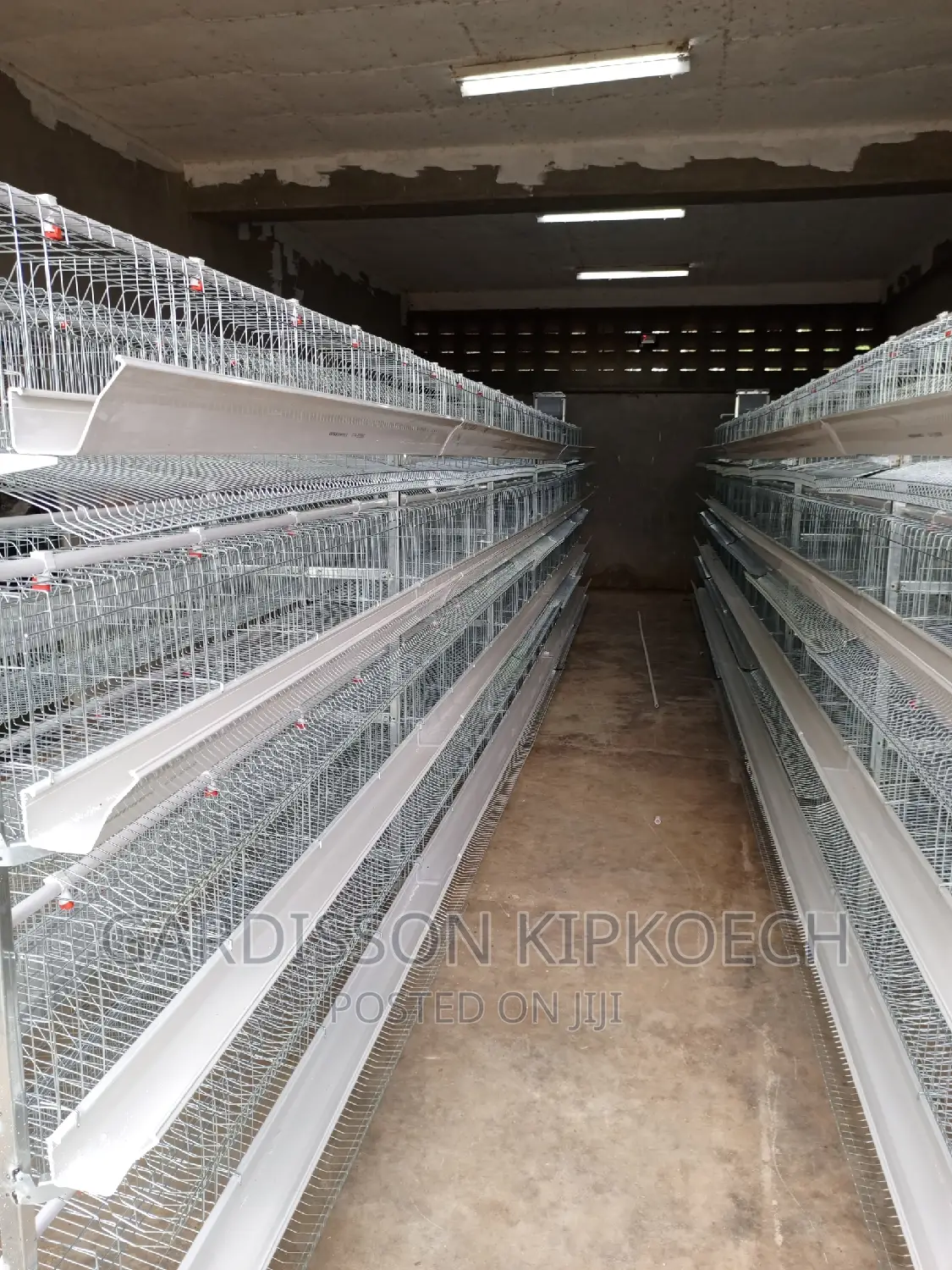 Chicken Cages(H Type Cages)