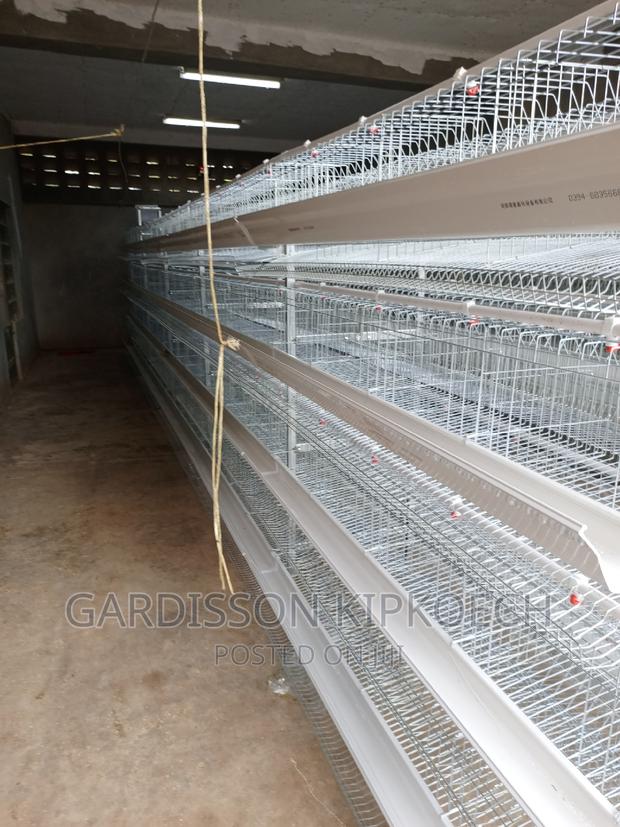 Chicken Cages(H Type Cages) - thumbnail 14