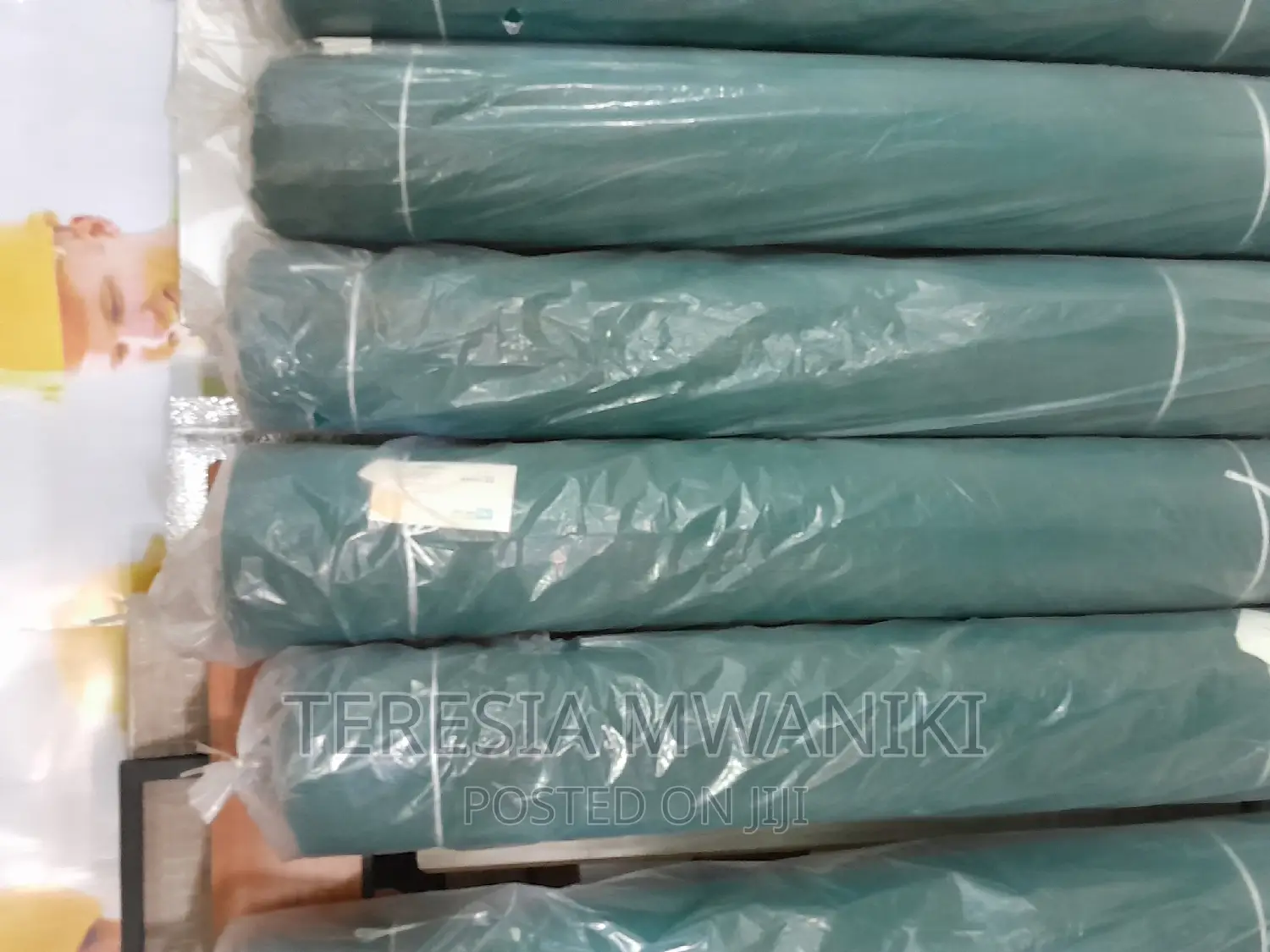 Scaffolding Net for Construction