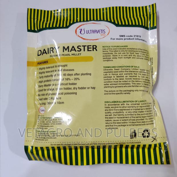 Dairy Master Forage Pearl Millet - thumbnail 2