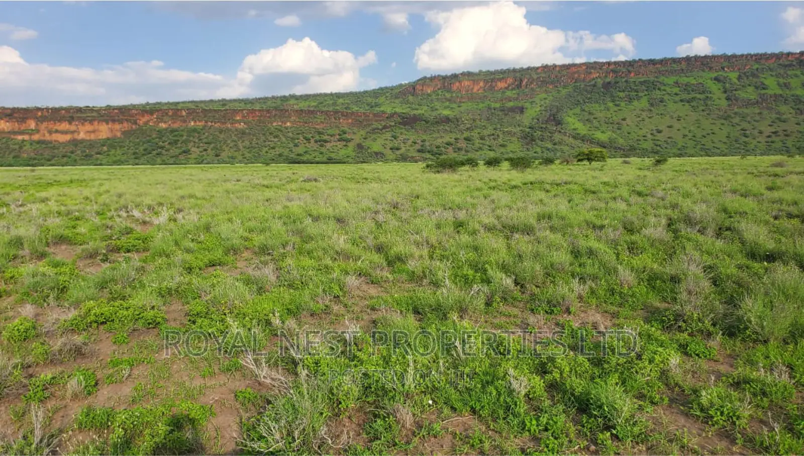 5 Acre Land for Sale in Tinga / Oletepesi