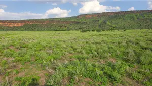 5 Acre Land for Sale in Tinga / Oletepesi