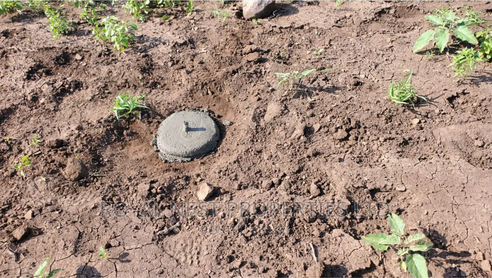 5 Acre Land for Sale in Tinga / Oletepesi