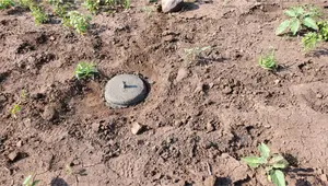 5 Acre Land for Sale in Tinga / Oletepesi