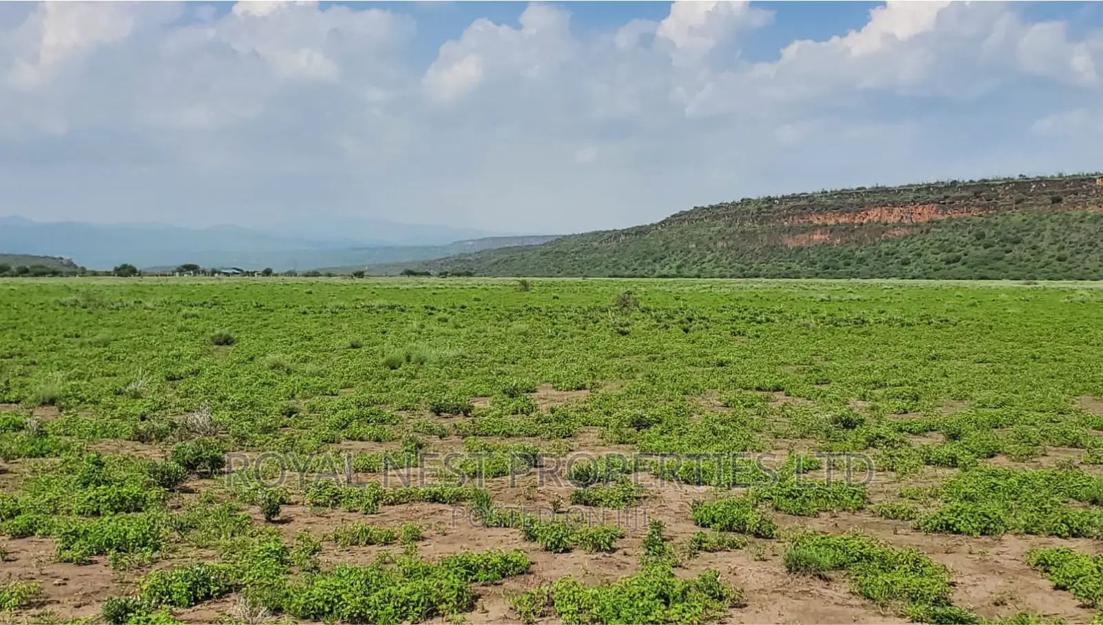 5 Acre Land for Sale in Tinga / Oletepesi