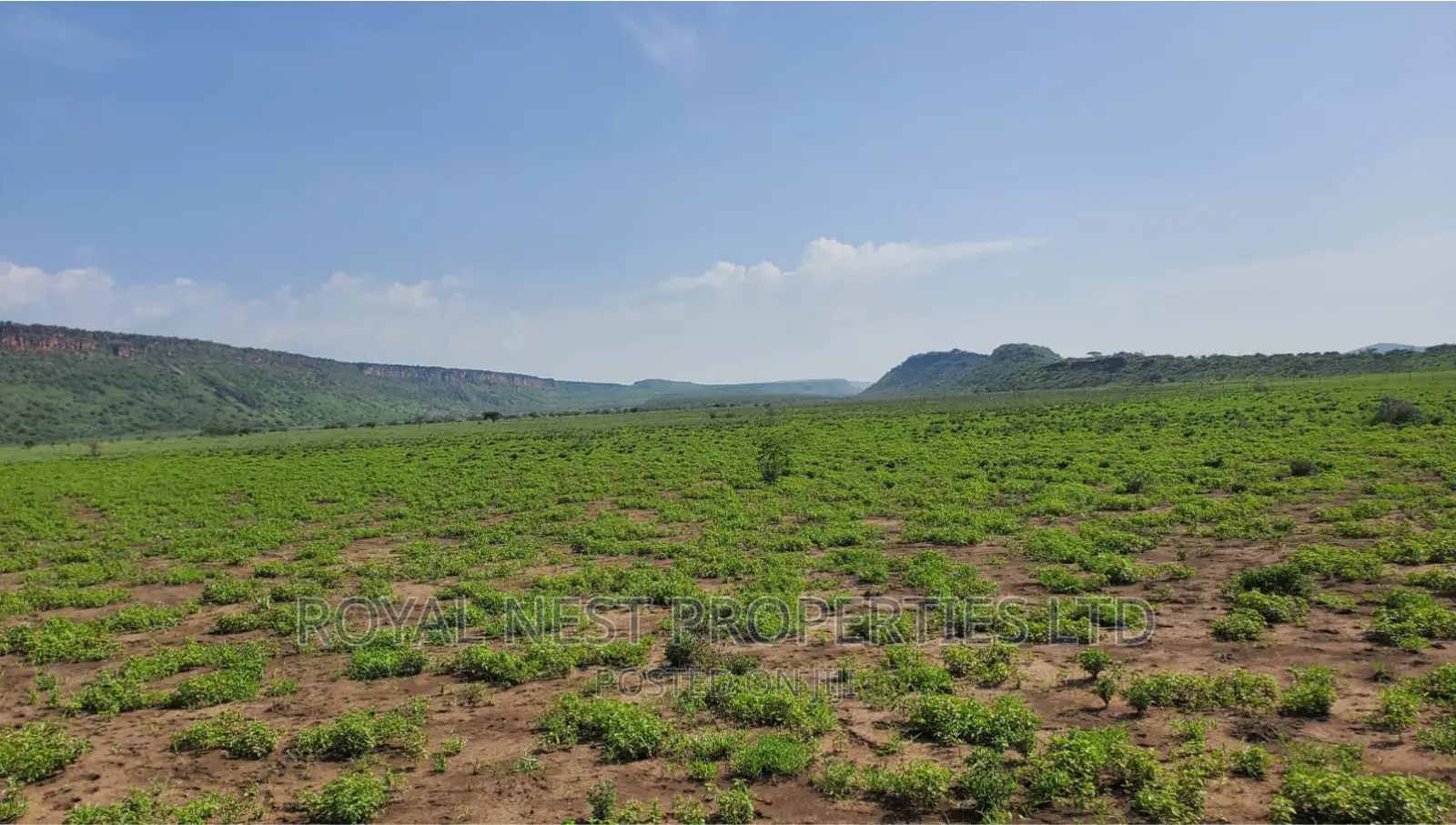 5 Acre Land for Sale in Tinga / Oletepesi