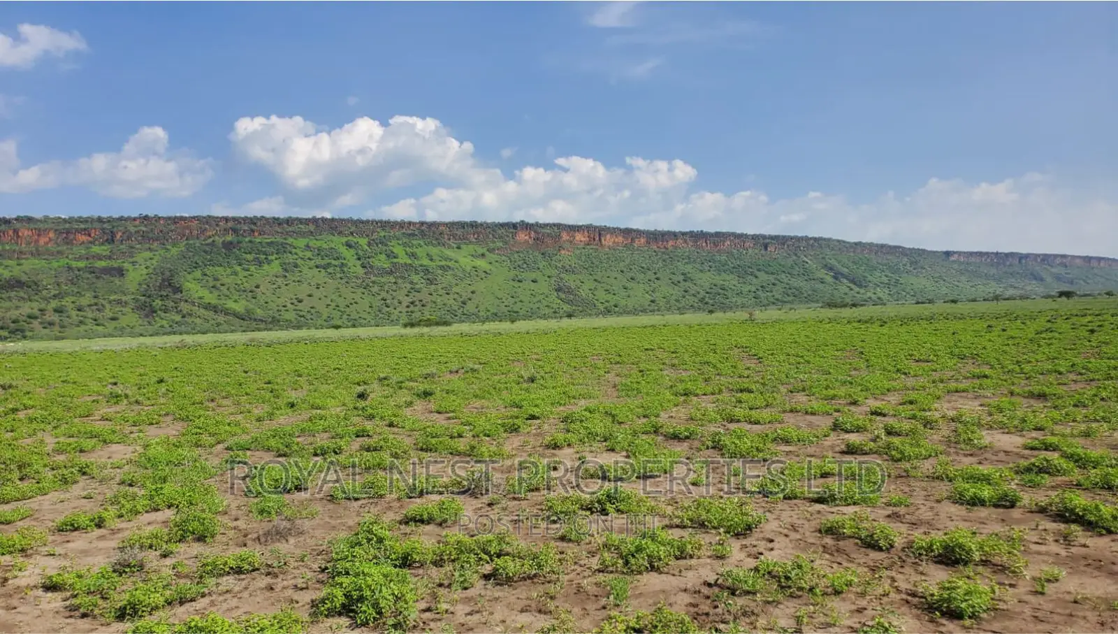 5 Acre Land for Sale in Tinga / Oletepesi