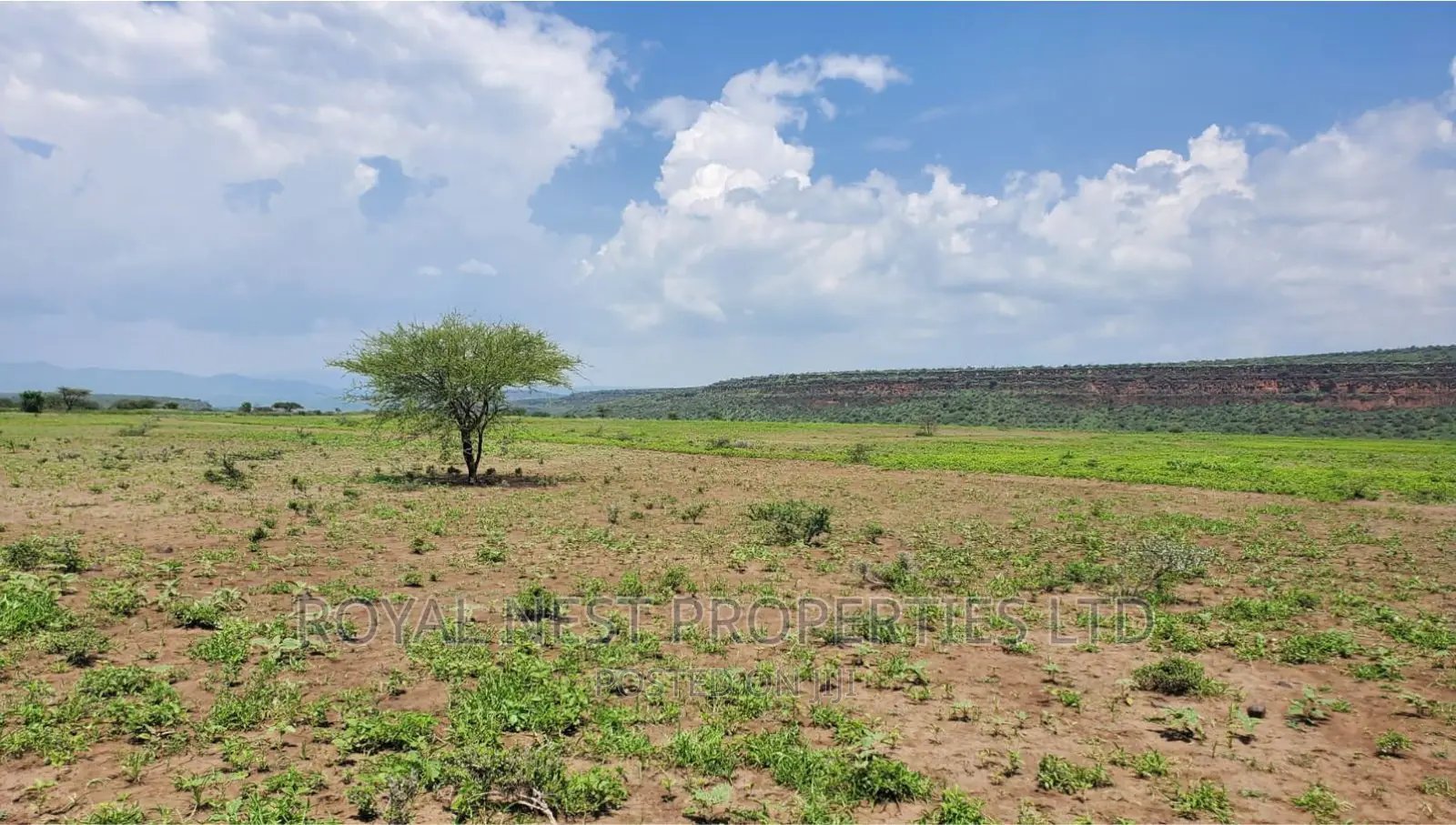 5 Acre Land for Sale in Tinga / Oletepesi