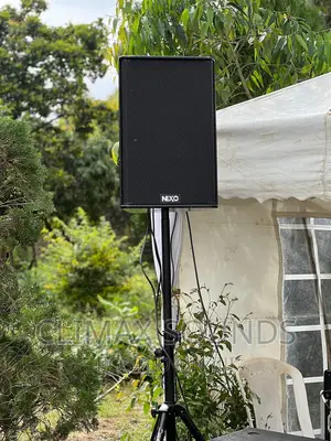 Nexo Monitor Speaker's 12 Inch