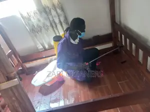 Better Fumigation Services on Bedbugs and Other Pests