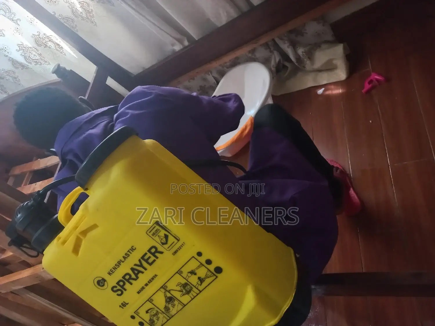 Best Insecticides for Controlling Cockroaches and Bedbugs