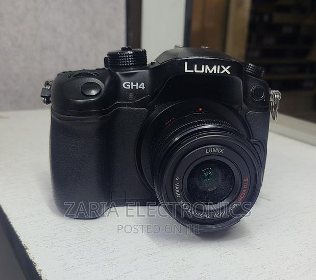 Panasonic Lumix Gh4 - main view