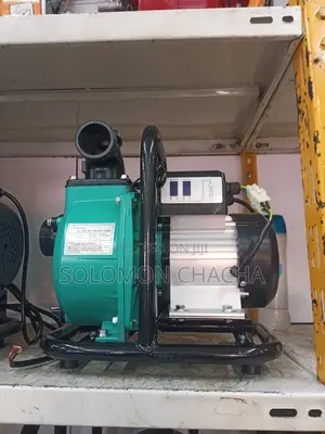 Shiyuan 2 Inch Brushless DC Solar Engine Pump