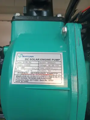 Shiyuan 2 Inch Brushless DC Solar Engine Pump