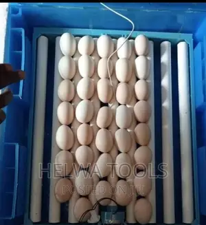 Eggs Incubator/Automatic Ac/Dc Eggs Hatching