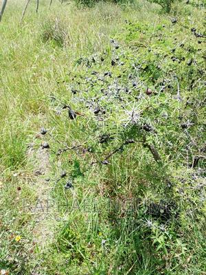 Four (4) Acres at Thaitha Machakos - thumbnail 2