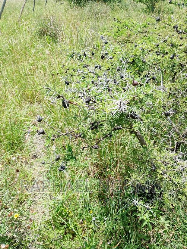 Four (4) Acres at Thaitha Machakos
