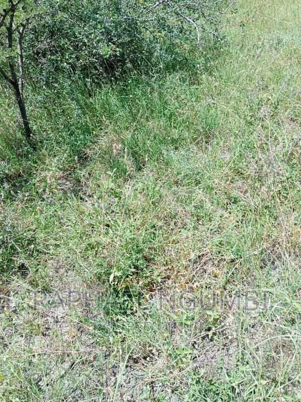 Four (4) Acres at Thaitha Machakos - thumbnail 3
