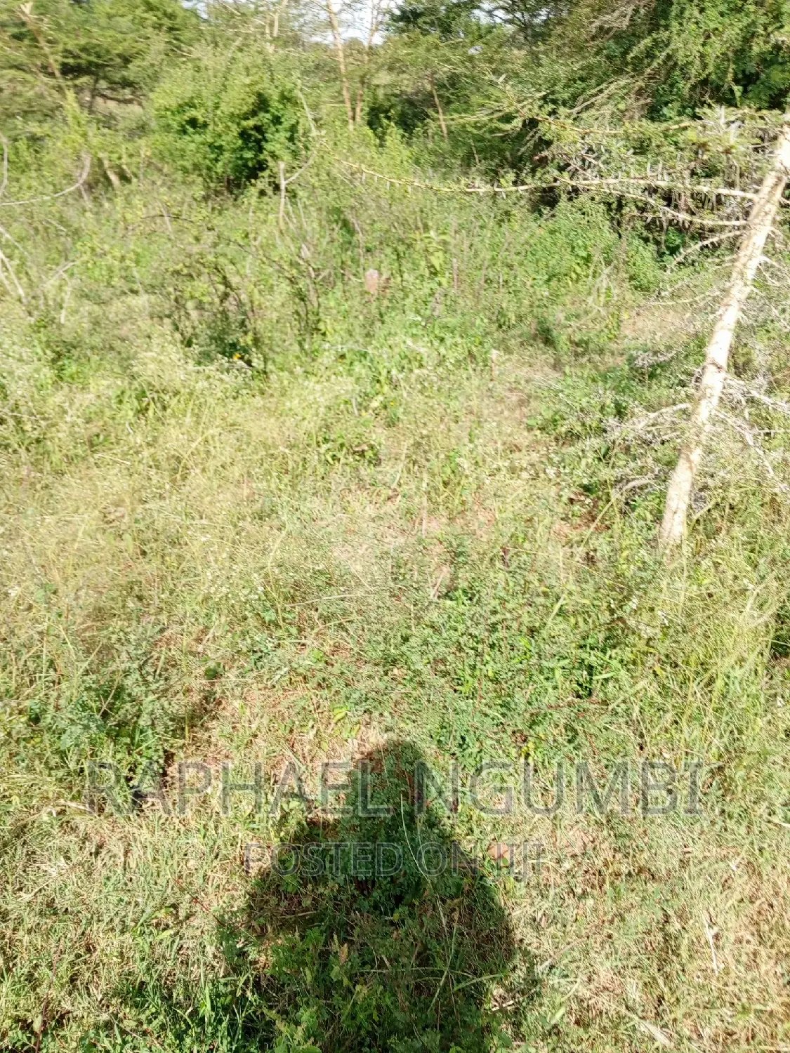 Three (3) Acres at Sultan Hamud