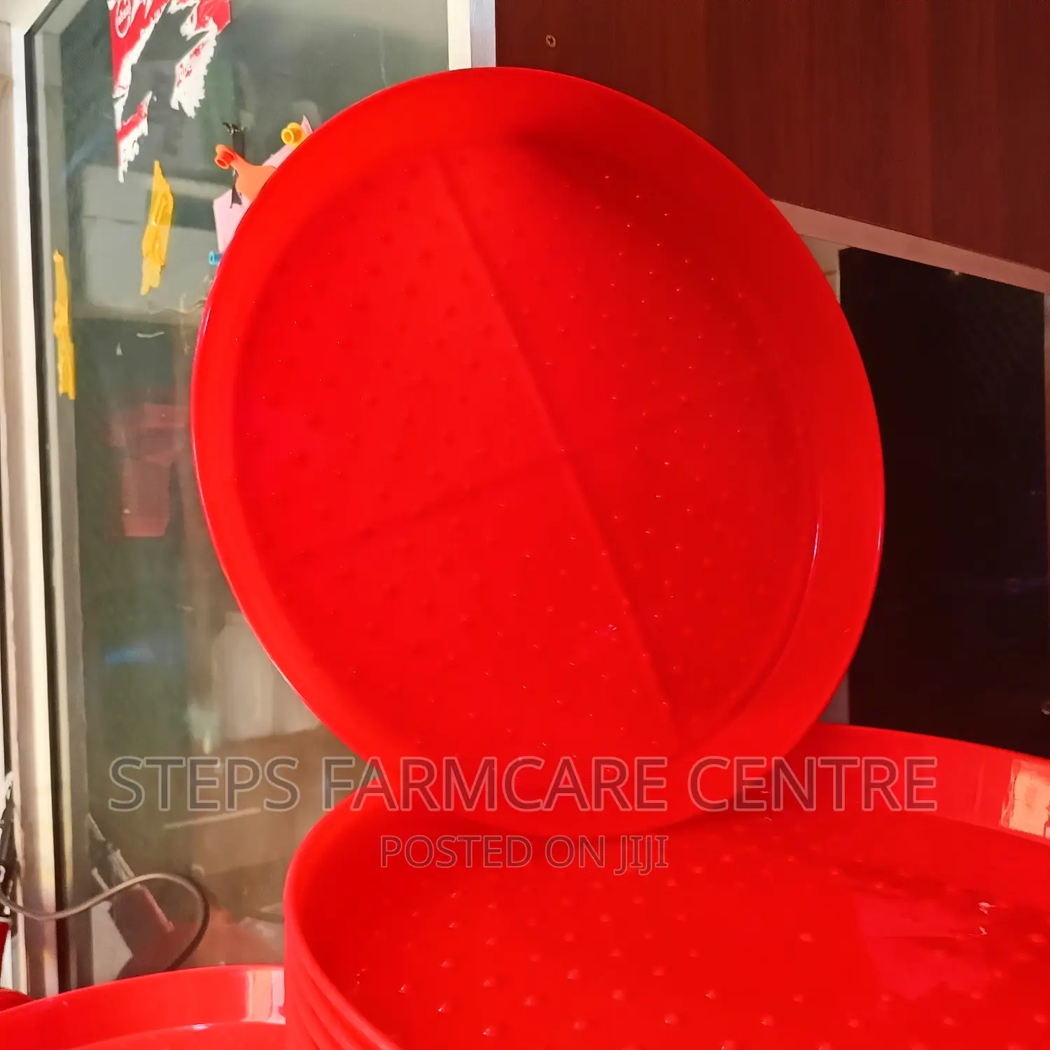 CLEARANCE Sale-Chick Trays