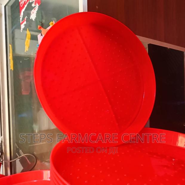 CLEARANCE Sale-Chick Trays - main view