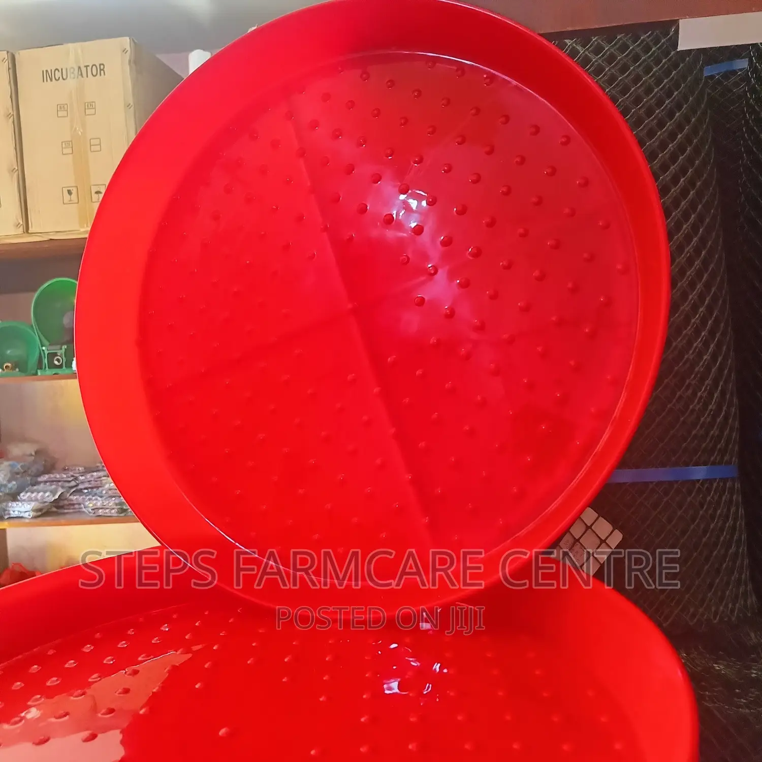 CLEARANCE Sale-Chick Trays