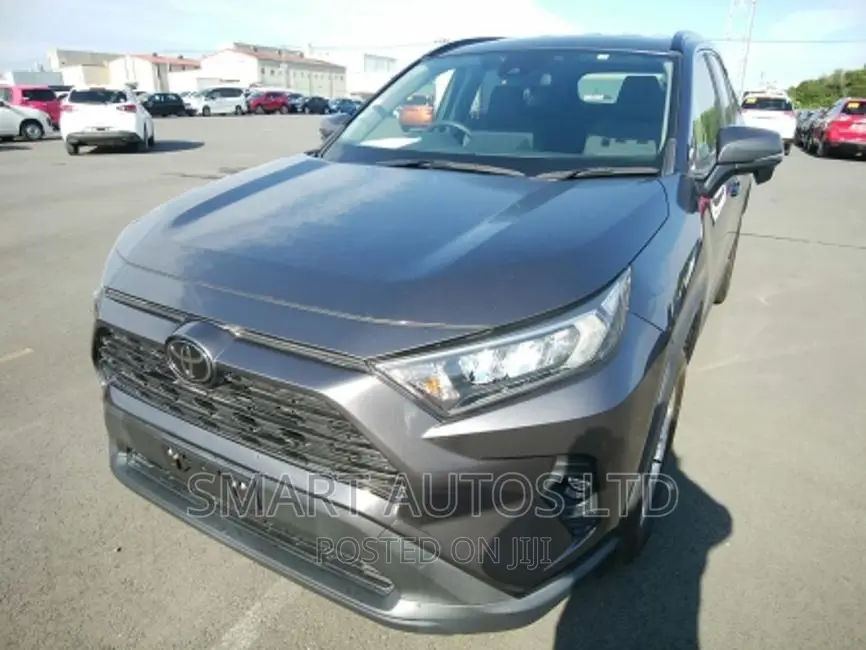 Toyota RAV4 2019 Gray