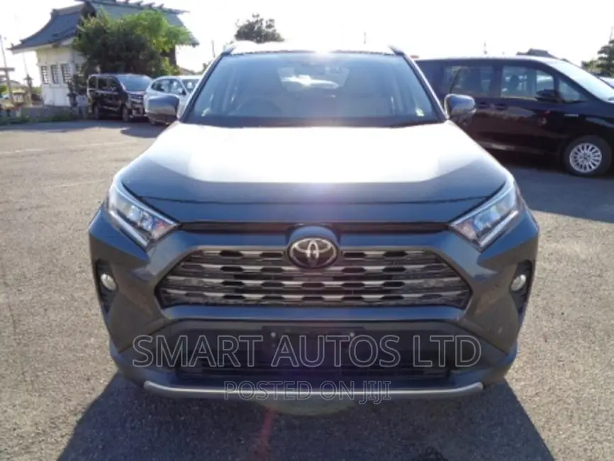 Toyota RAV4 2019 Gray