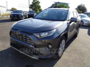 Toyota RAV4 2019 Gray