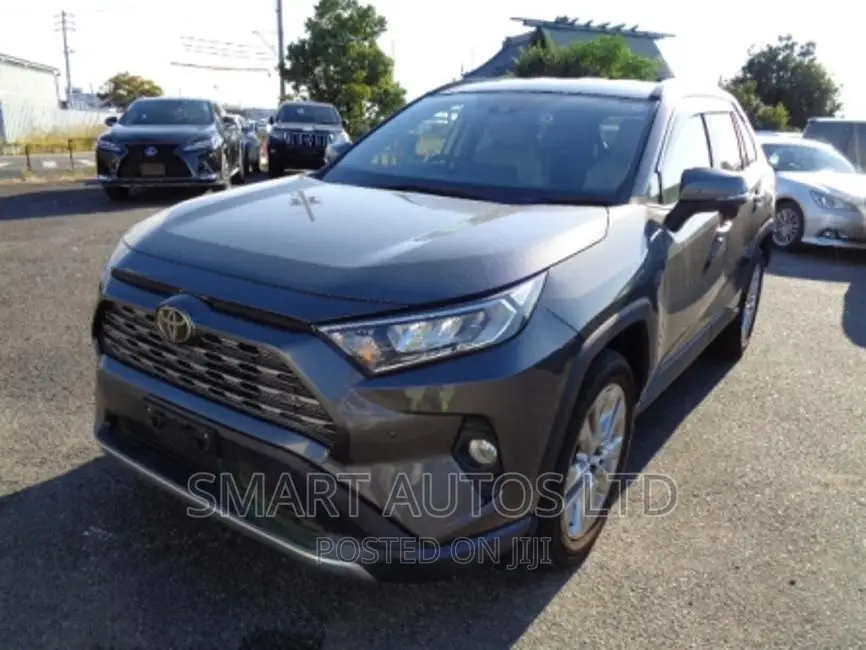 Toyota RAV4 2019 Gray