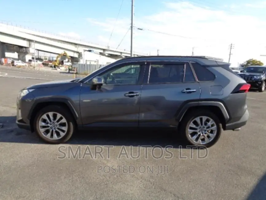 Toyota RAV4 2019 Gray