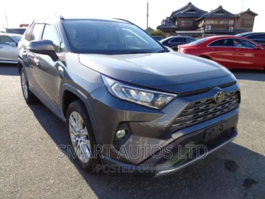 Toyota RAV4 2019 Gray
