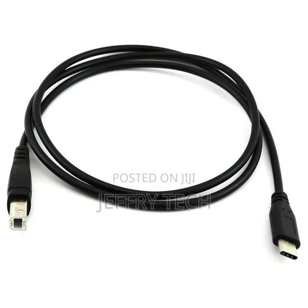 USB-C USB 3.1 Type C Male to USB 2.0 B Type Male
