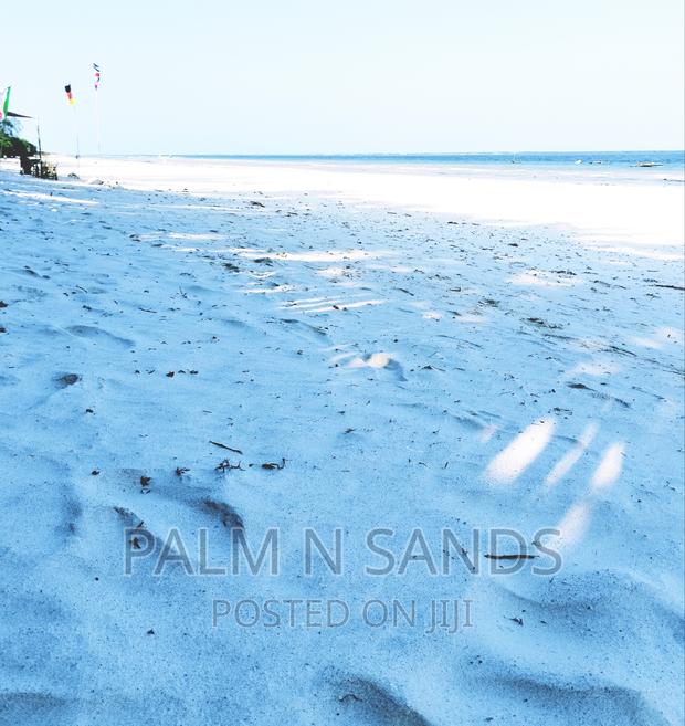 One Acre Prime Beach Plot - thumbnail 3