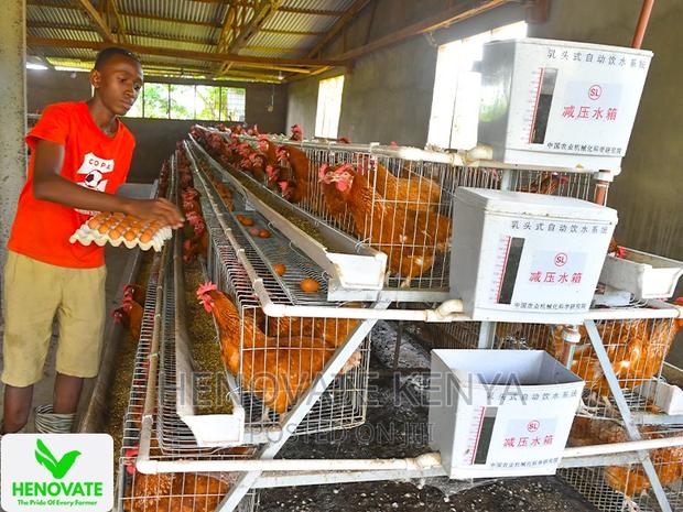 In Kenya 3floor Chicken Layer(Saves Space) - thumbnail 5