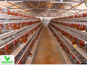 4floor Available(Chicken Layer Cage)Ruiru