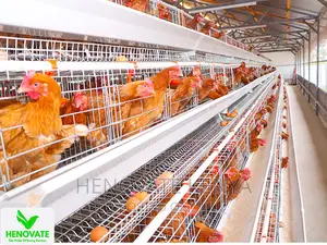 4floor Available(Chicken Layer Cage)Ruiru