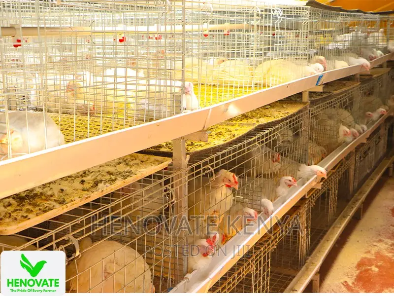 Affordable Broiler Cage(Saves Time)Available in Kiambu Ruiru