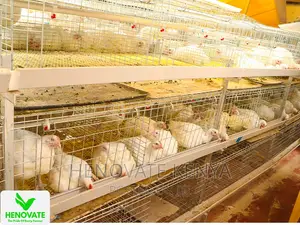 Affordable Broiler Cage(Saves Time)Available in Kiambu Ruiru