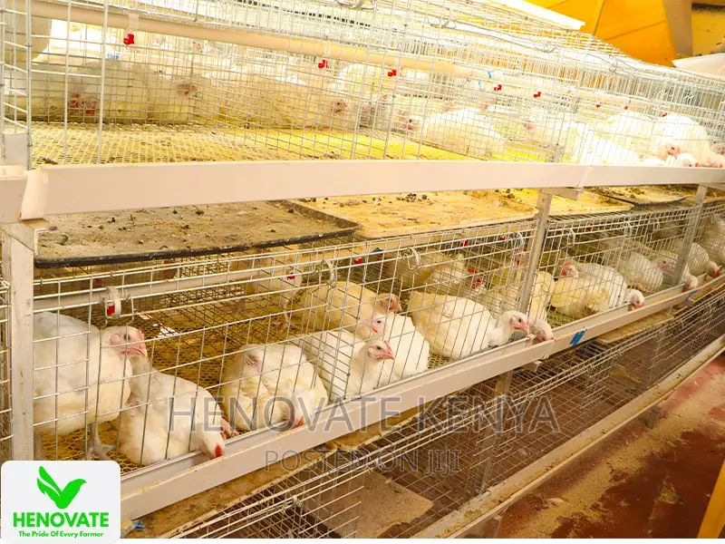 Affordable Broiler Cage(Saves Time)Available in Kiambu Ruiru