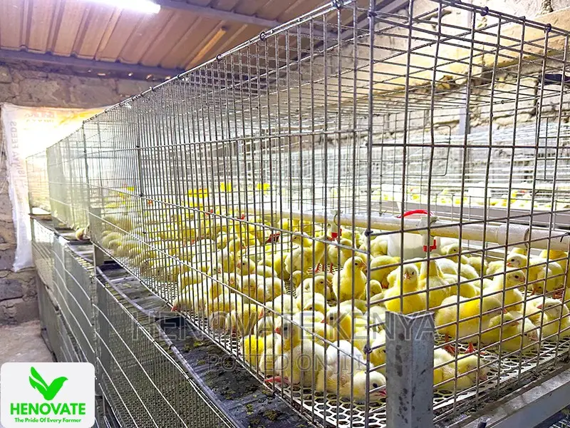 Affordable Broiler Cage(Saves Time)Available in Kiambu Ruiru