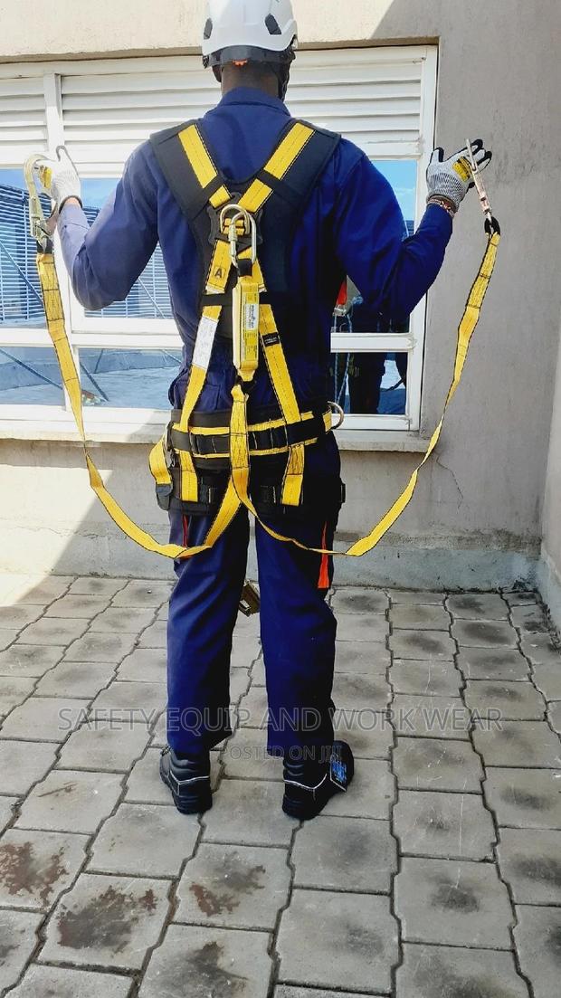Buy Safety Panacea Full Body Harness At Wholesale Prices