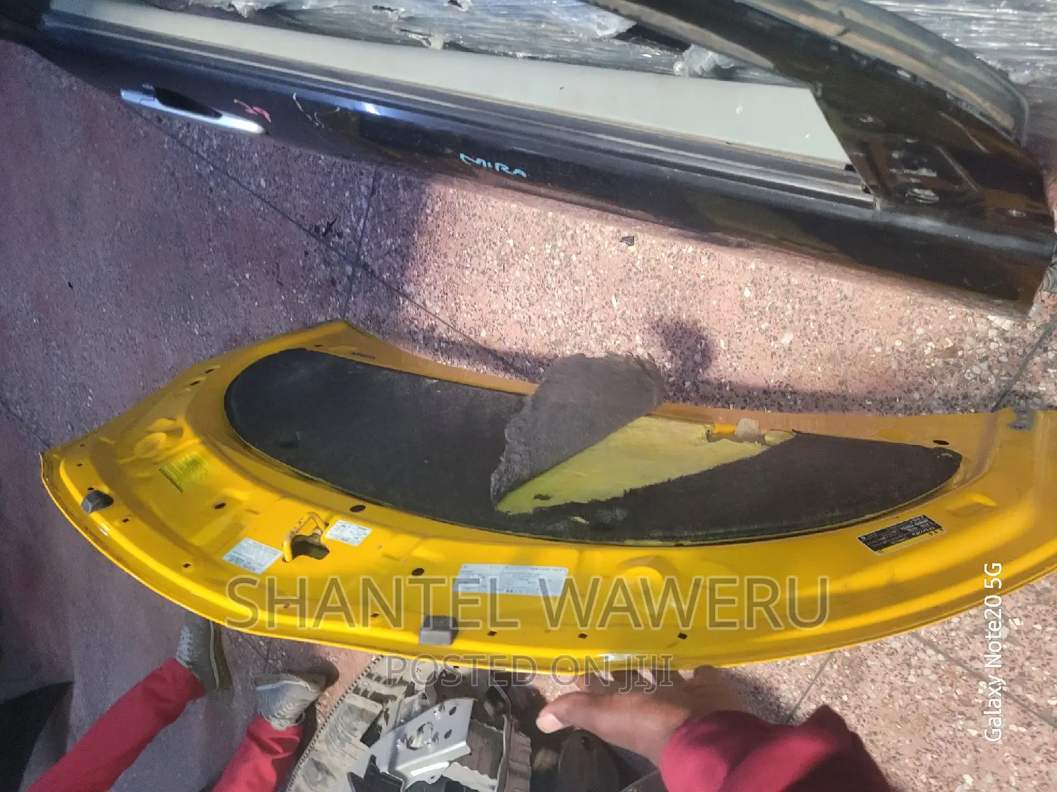 Aqua 2013 Bonnet