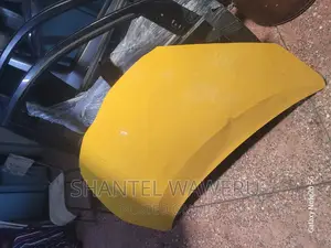 Aqua 2013 Bonnet