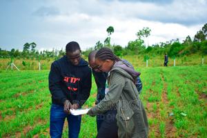 Citrus Groove Njoro - thumbnail 2