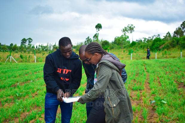 Citrus Groove Njoro - main view